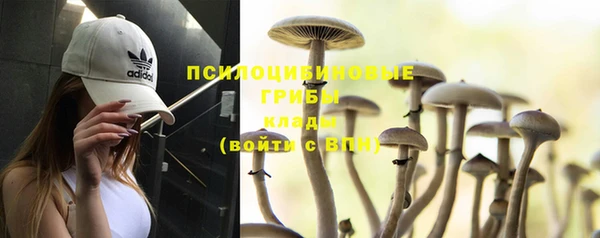 скорость Бородино
